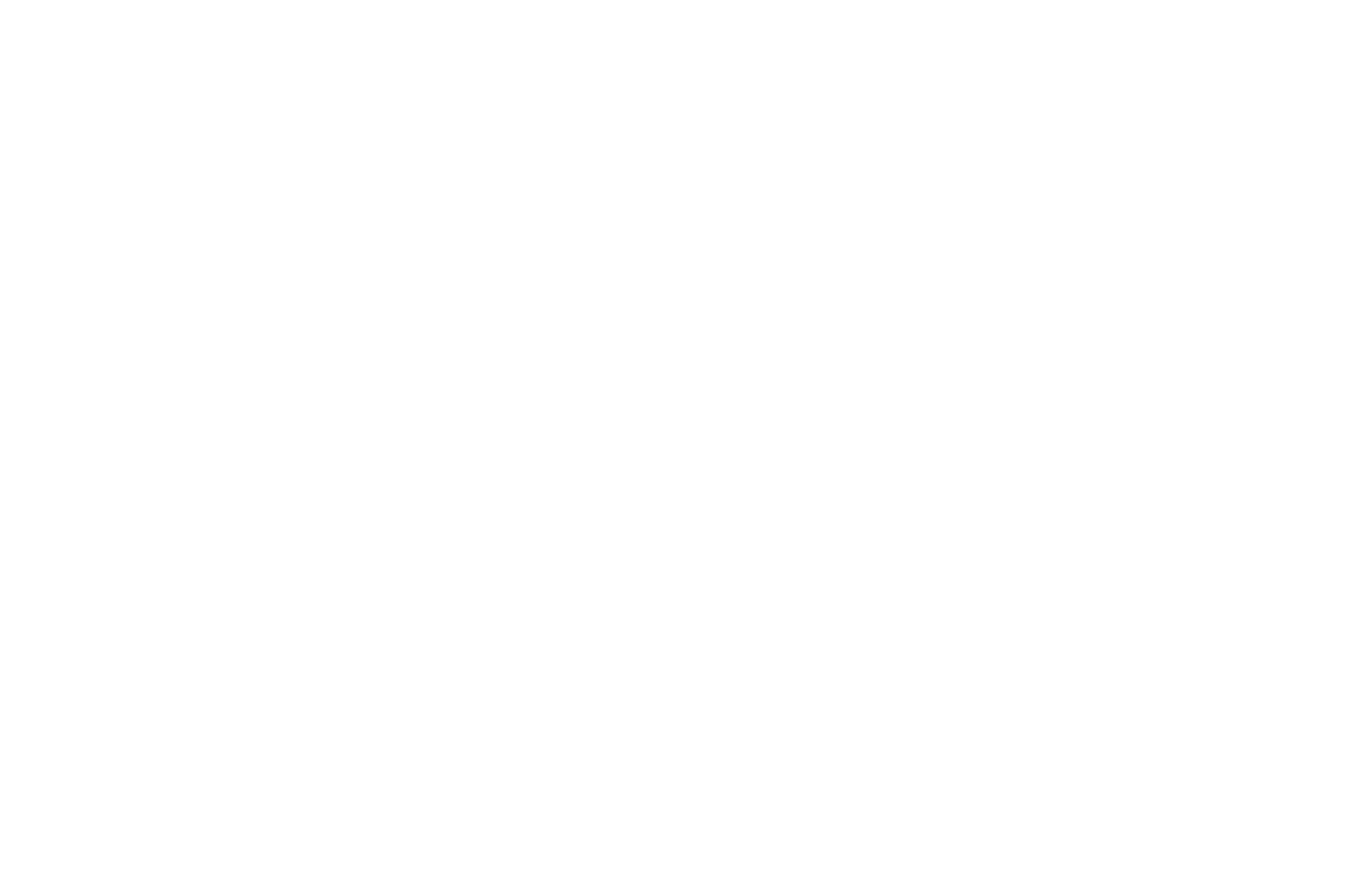 logo nuevo blanco limpio